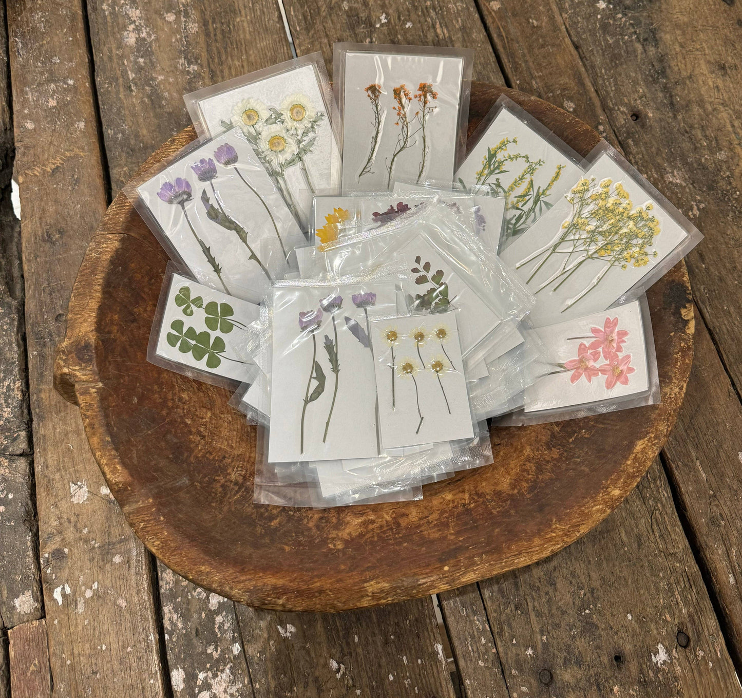 Pressed Botanical Collection