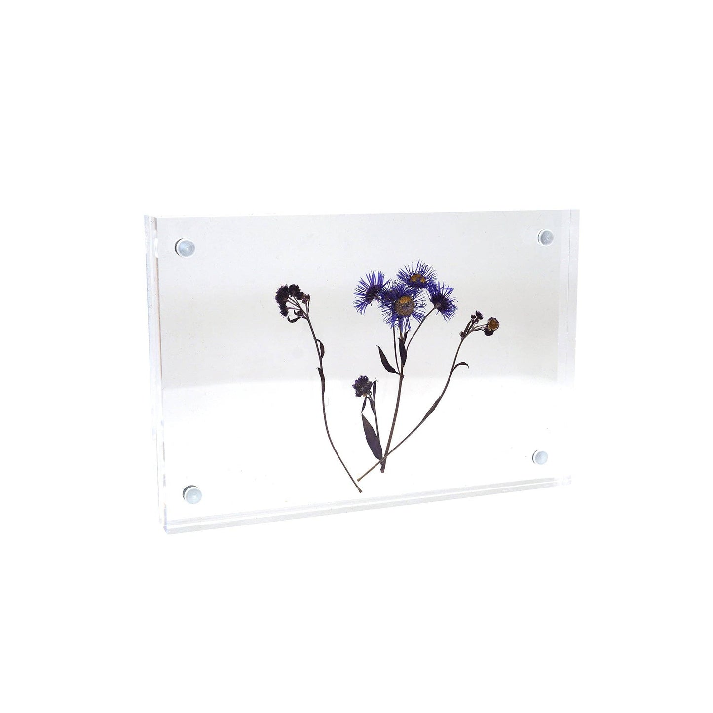 Acrylic Standing Frame- 4"x6"
