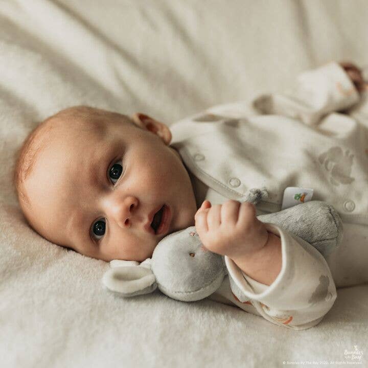 Bunnies By The Bay - Friendly Chime Rattle Gray Bunny