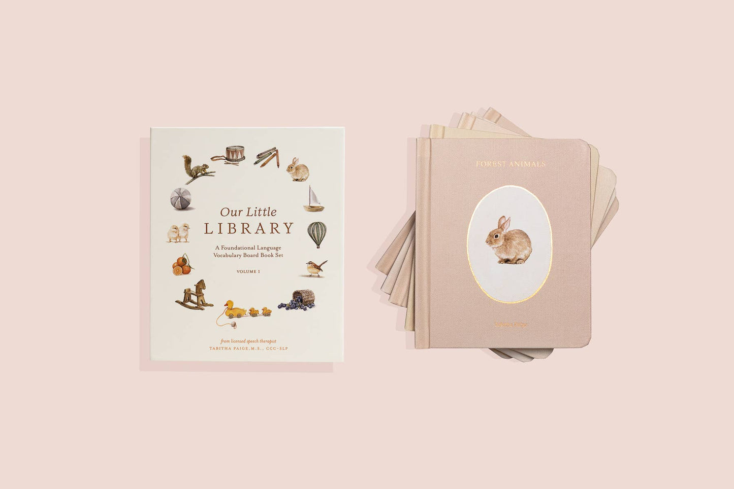 Paige Tate - Our Little Library Set of 5 Vol. 1