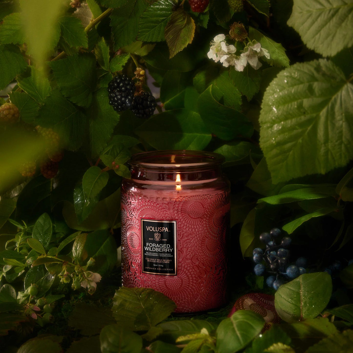Voluspa - Foraged Wildberry 18oz Large Jar
