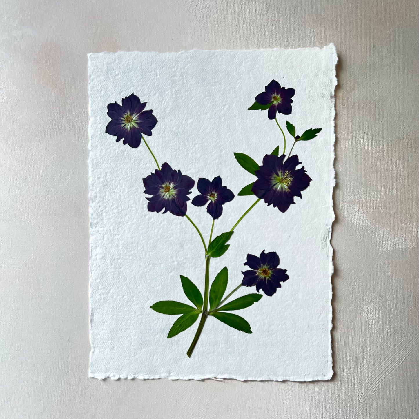 Wedding Flower Preservation Inquiry