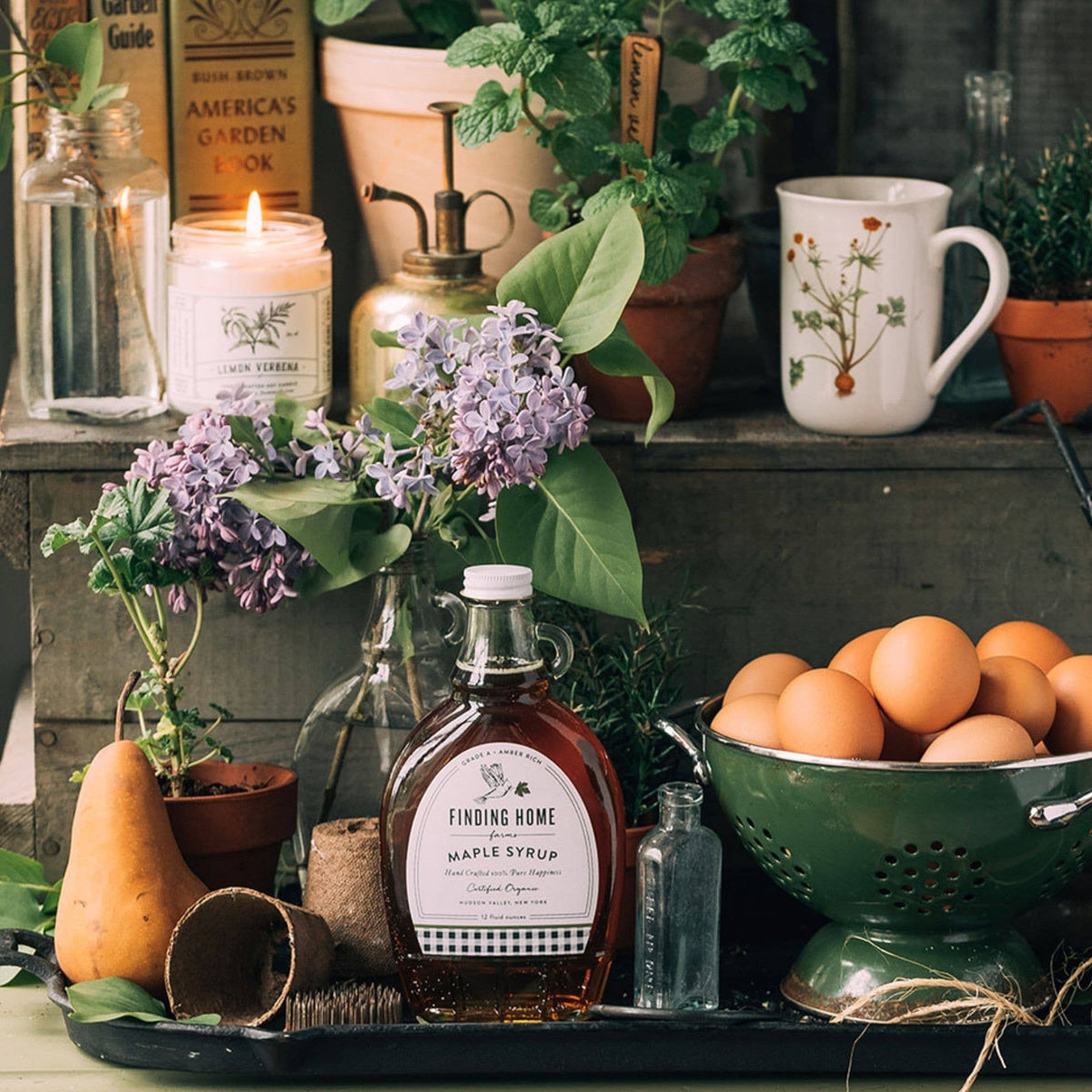 Finding Home Farms - Organic Maple Syrup - 12 oz Decorative Glass