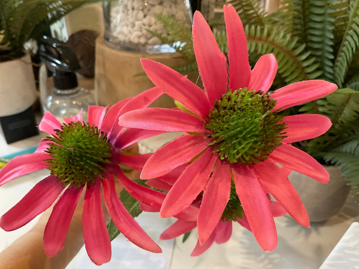 Echinacea 29” - FSE204-CE