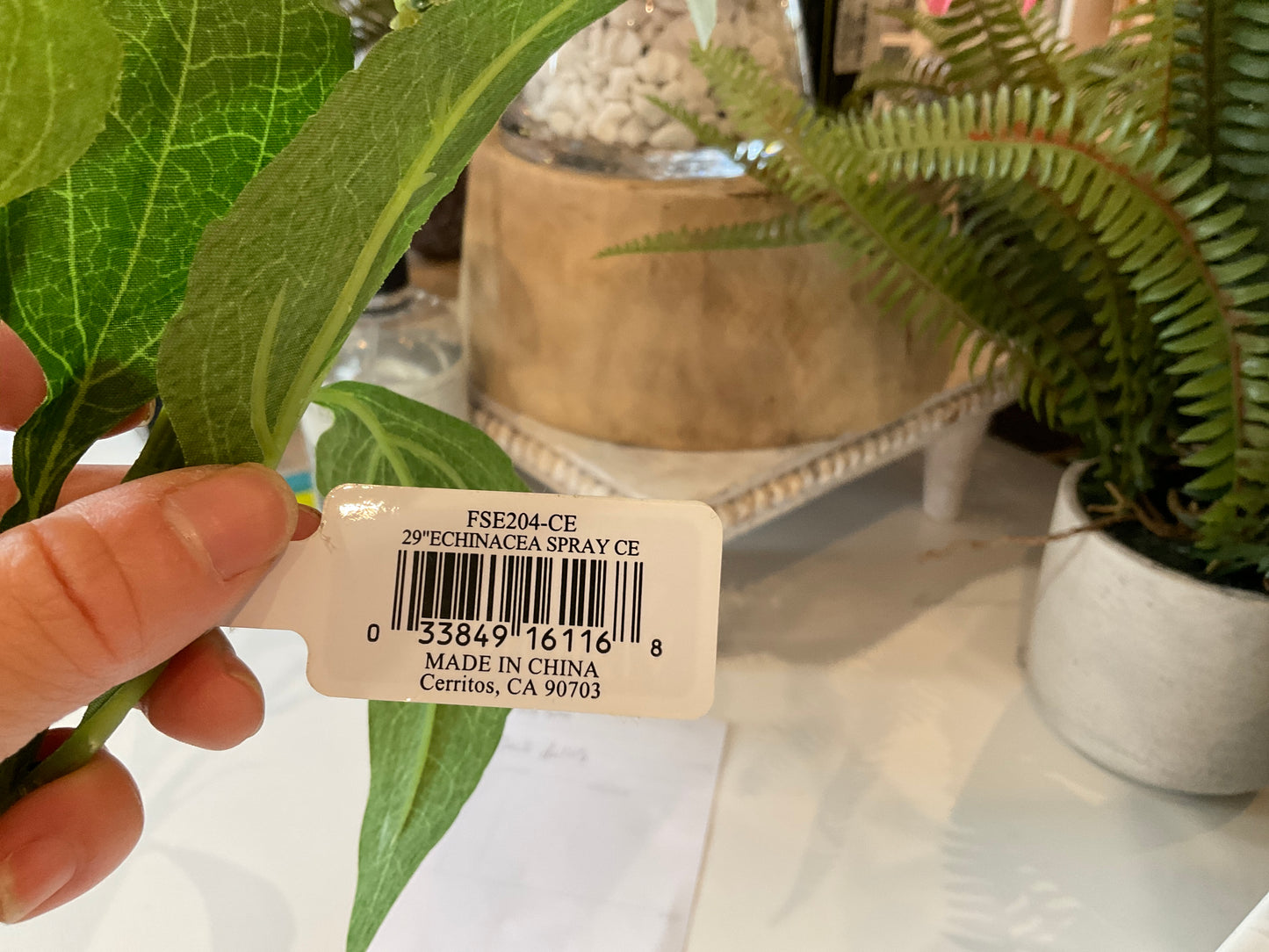 Echinacea 29” - FSE204-CE