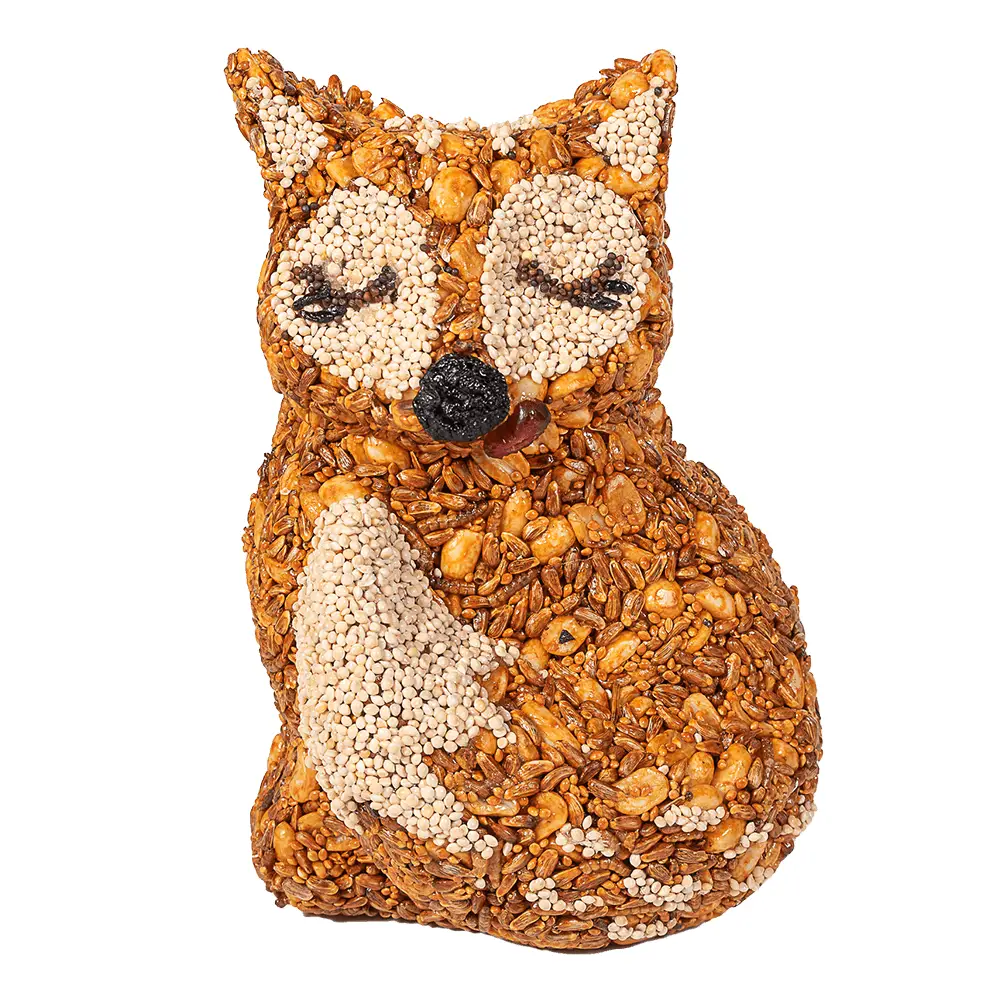 Mr. Bird - Hot Foxy